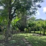 listing image thumbnail with ID 109306