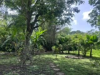 listing image with ID 109306