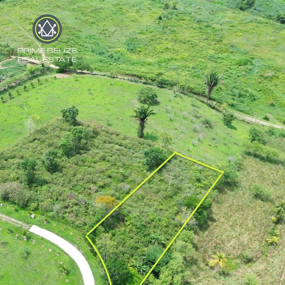 listing image with ID 109771