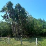 listing image thumbnail with ID 109492