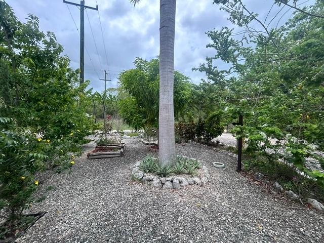 listing image with ID 109418