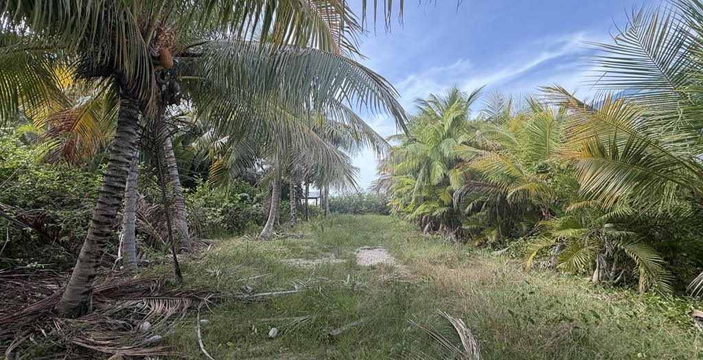 listing image with ID 110424