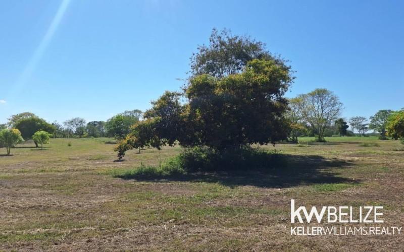 listing image with ID 109957
