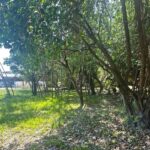 listing image thumbnail with ID 109479