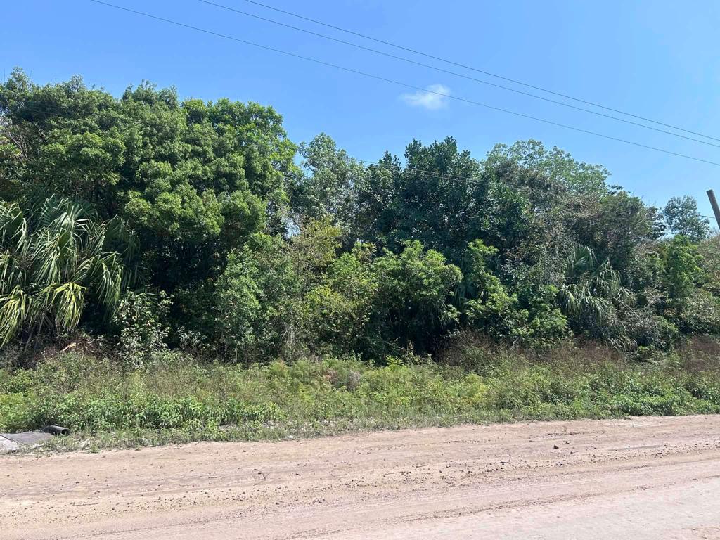 listing image with ID 110013