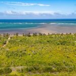 listing image thumbnail with ID 109917