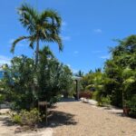listing image thumbnail with ID 109543