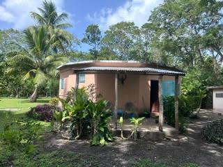 listing image with ID 109312