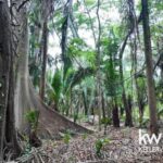 listing image thumbnail with ID 109968