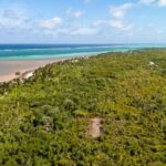 listing image thumbnail with ID 109914