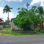 listing image thumbnail with ID 109836
