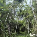 listing image thumbnail with ID 111344