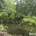 listing image thumbnail with ID 111333