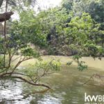 listing image thumbnail with ID 111335