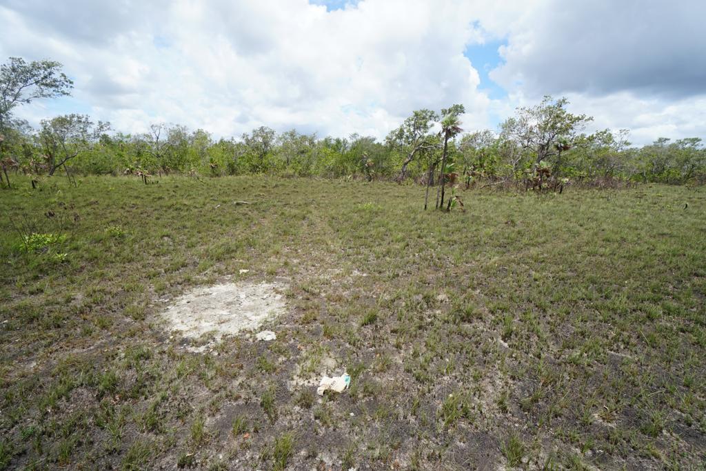 listing image with ID 111895