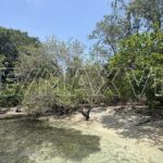 listing image thumbnail with ID 110559