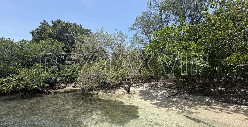 listing image with ID 110559