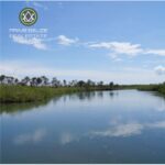 listing image thumbnail with ID 111182