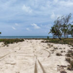 listing image thumbnail with ID 110490