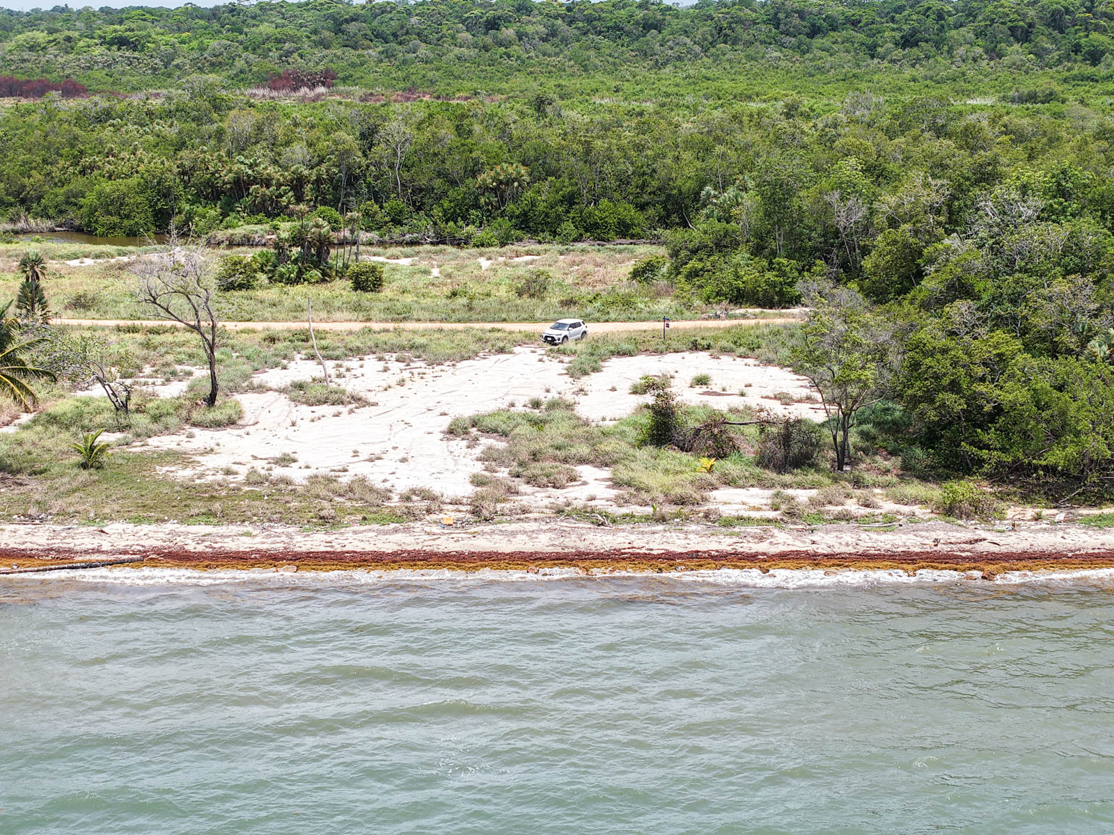 listing image with ID 110501