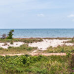 listing image thumbnail with ID 110479