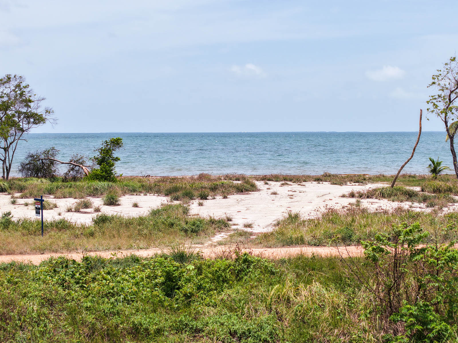 listing image with ID 110479