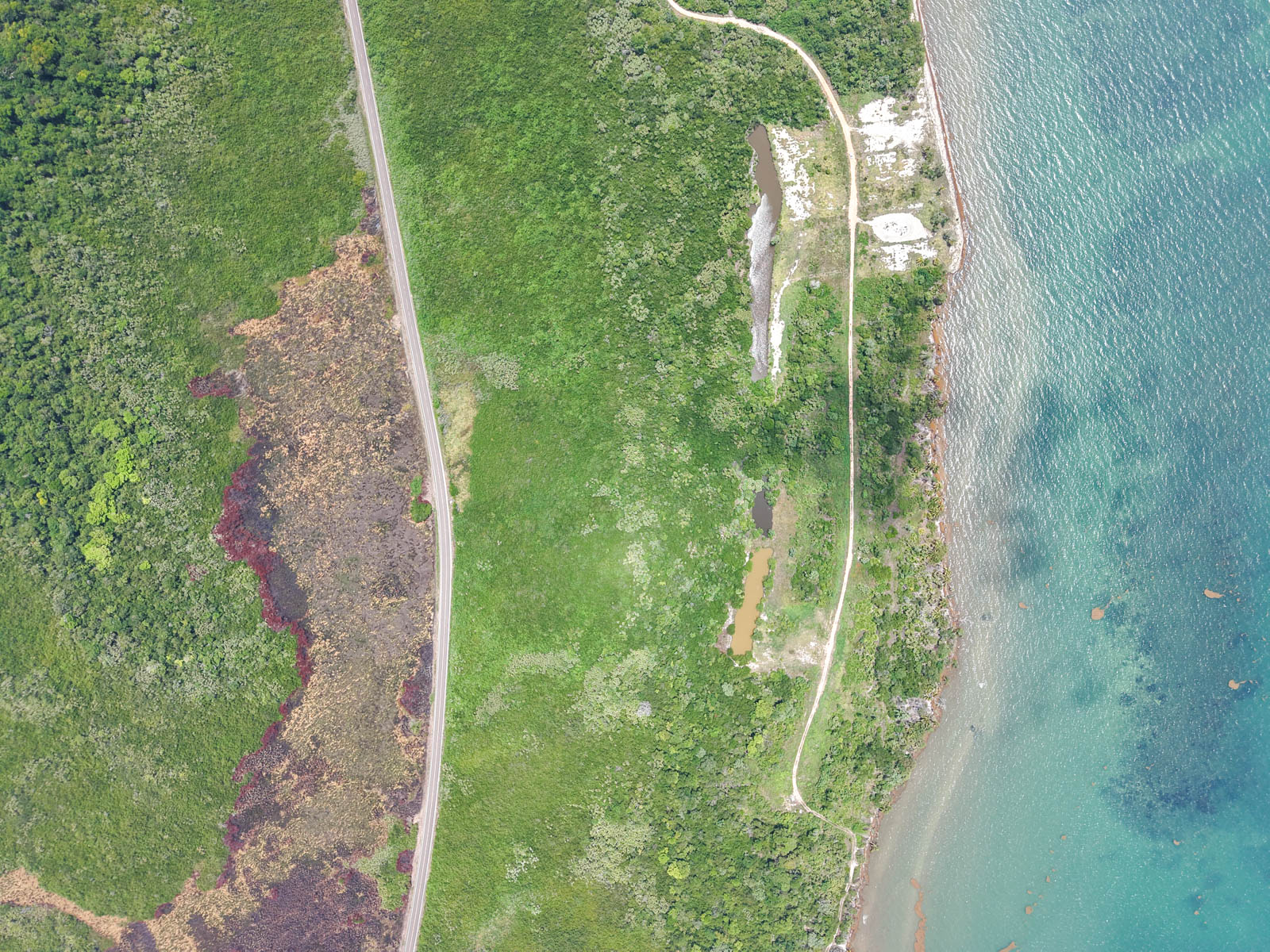listing image with ID 110477