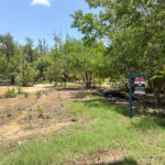listing image thumbnail with ID 111129