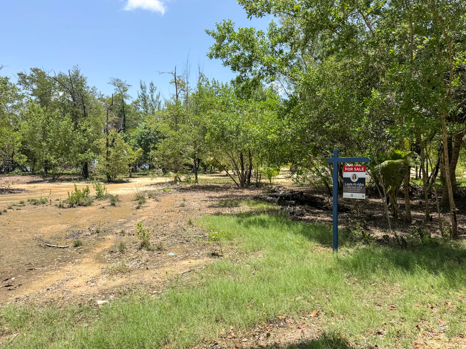 listing image with ID 111129
