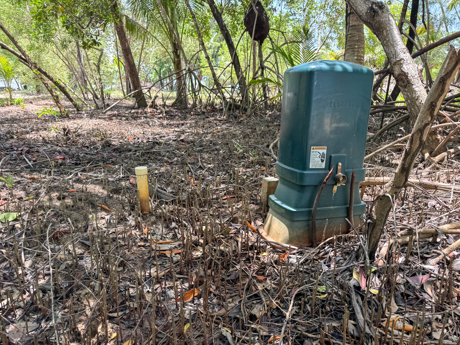 listing image with ID 111130