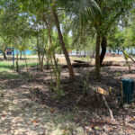 listing image thumbnail with ID 111131