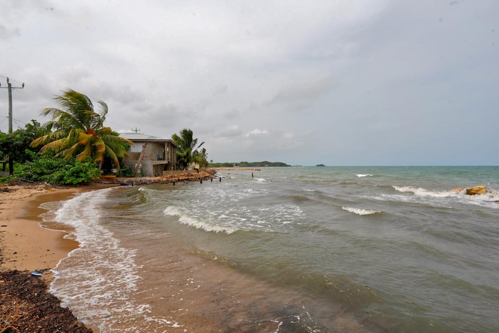 listing image with ID 110793