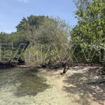 listing image thumbnail with ID 110561