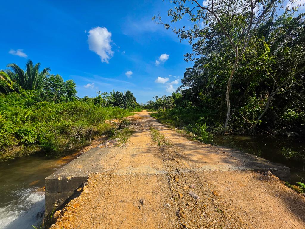 listing image with ID 111365