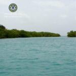 listing image thumbnail with ID 111910