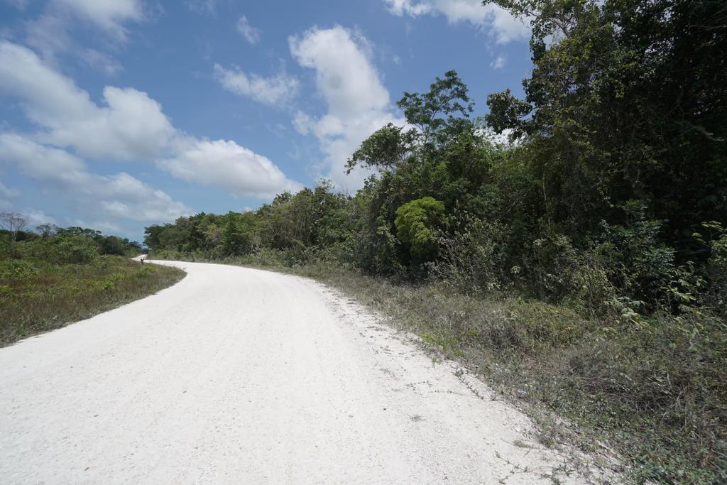 listing image with ID 111060