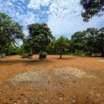listing image thumbnail with ID 111405