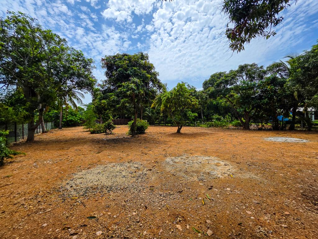 listing image with ID 111405