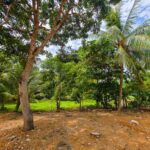 listing image thumbnail with ID 111410