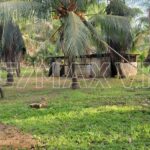 listing image thumbnail with ID 112199