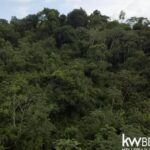 listing image thumbnail with ID 111341