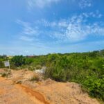 listing image thumbnail with ID 111544