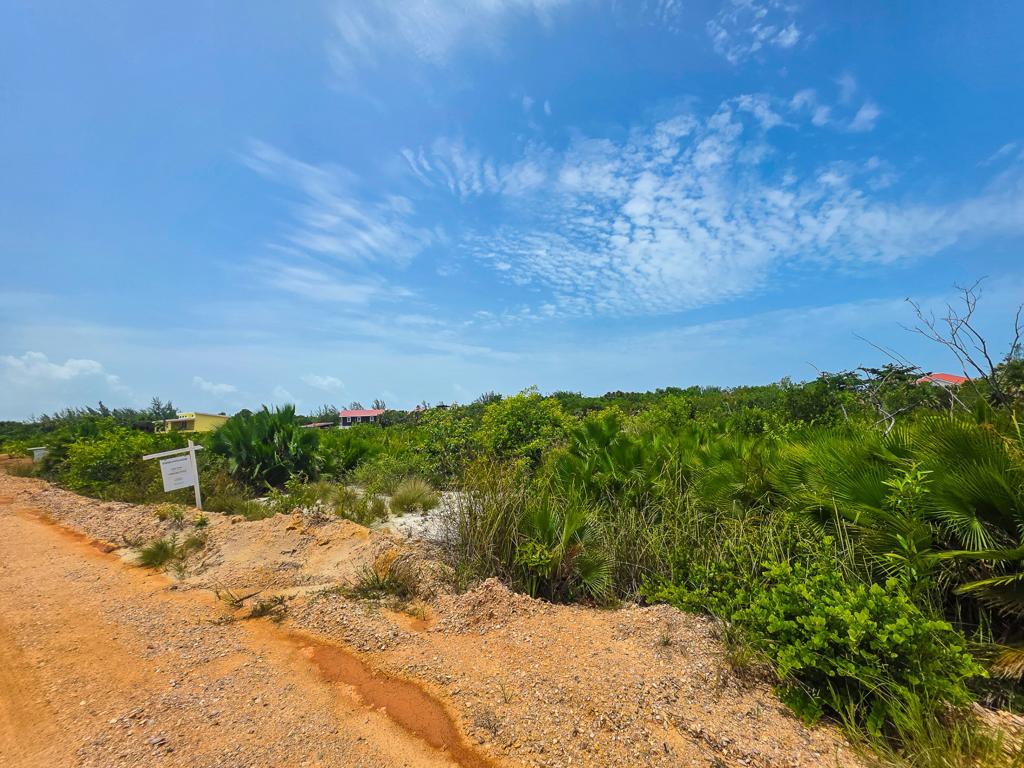listing image with ID 111544