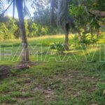 listing image thumbnail with ID 112203
