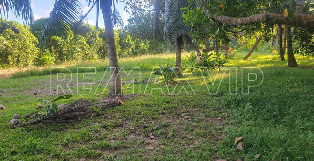 listing image with ID 112203