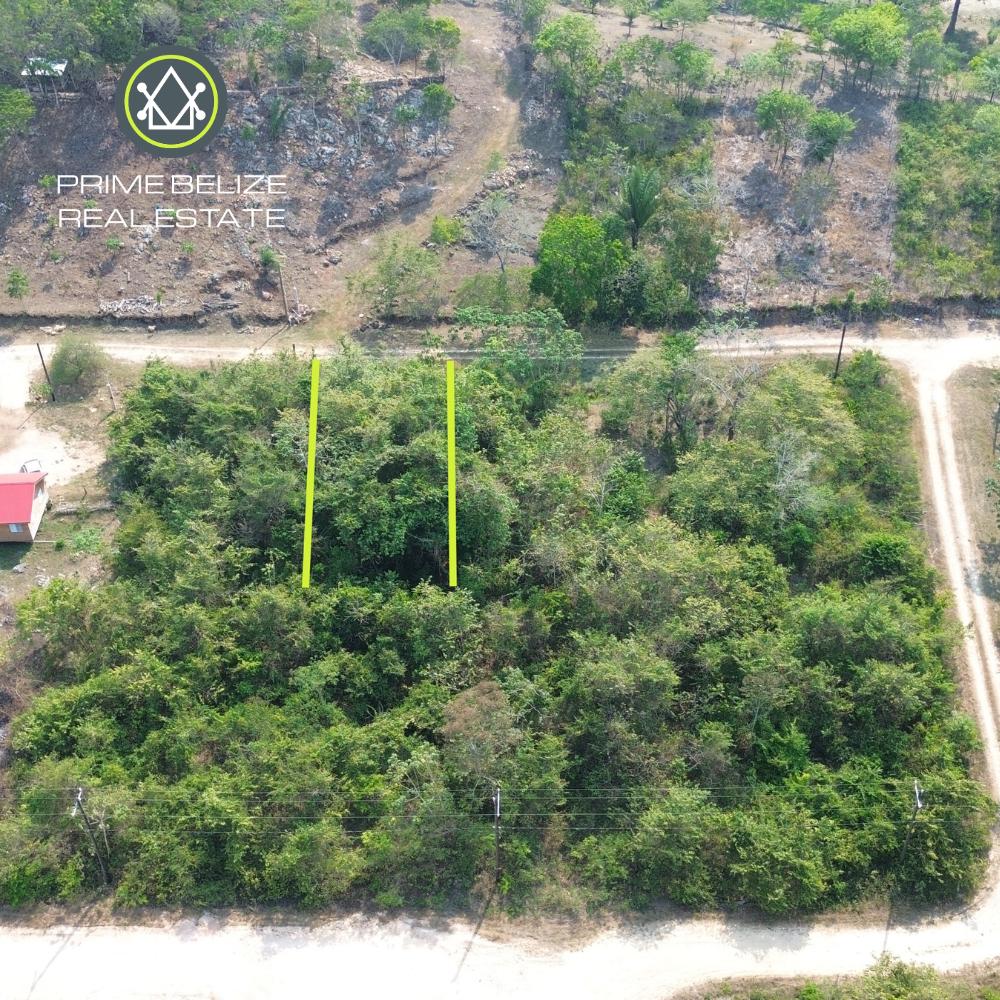 listing image with ID 110897