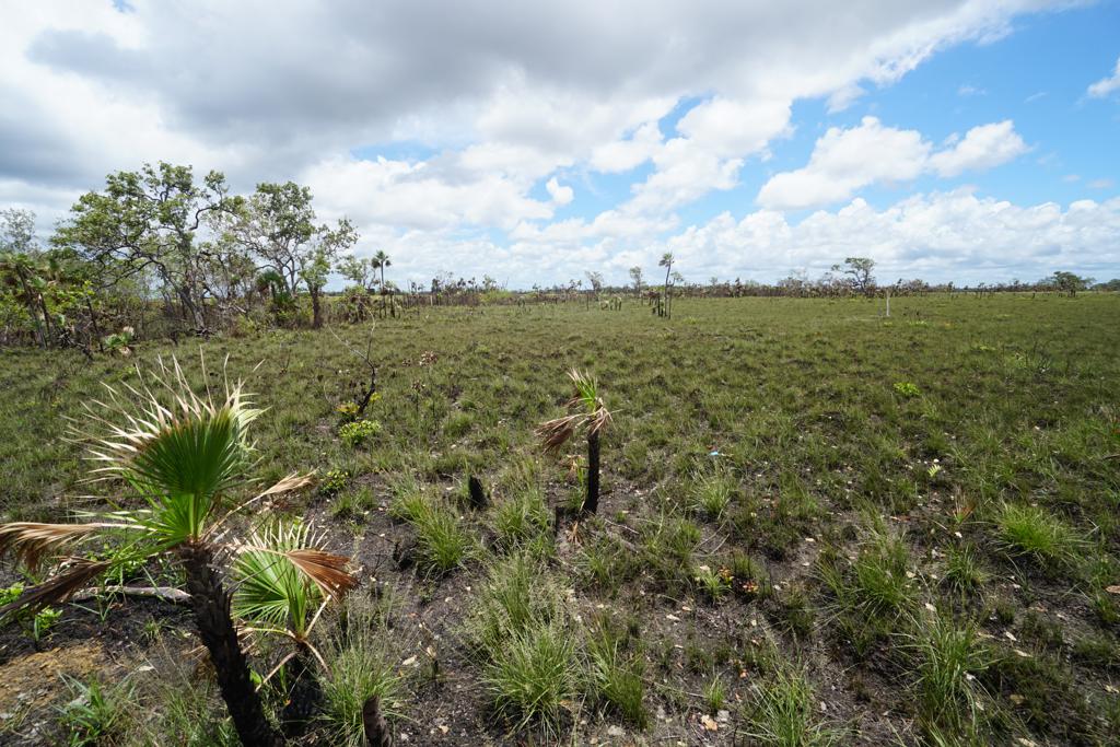 listing image with ID 111893