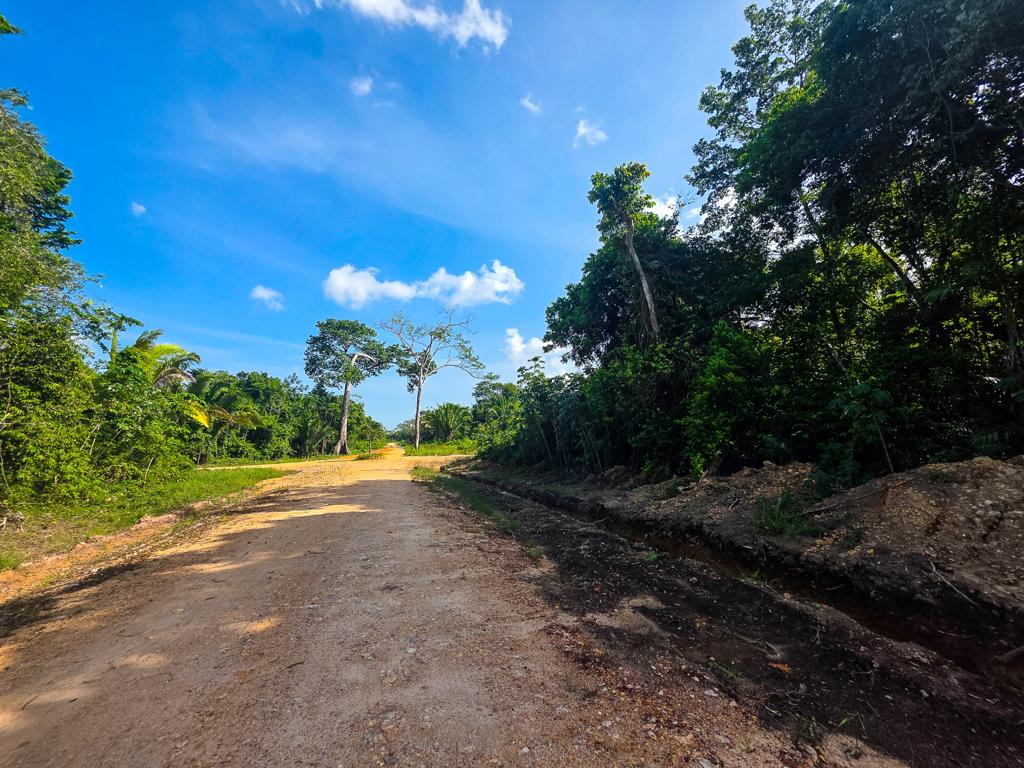 listing image with ID 111363