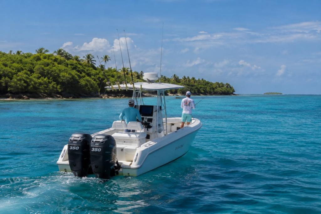 listing image with ID 111079