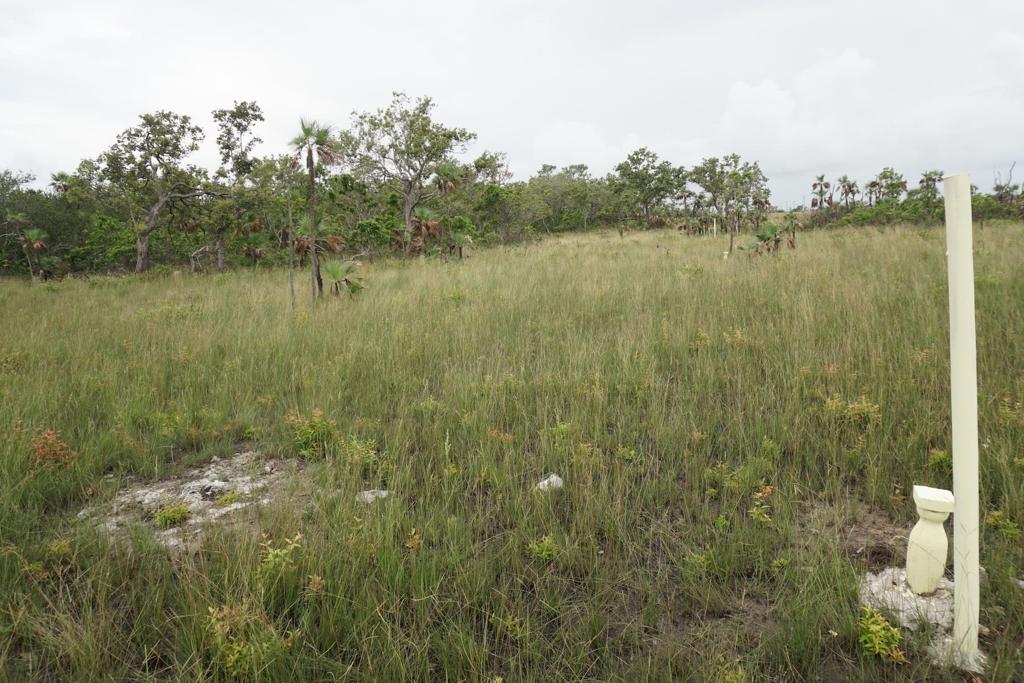 listing image with ID 111901